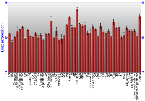 Expression graph