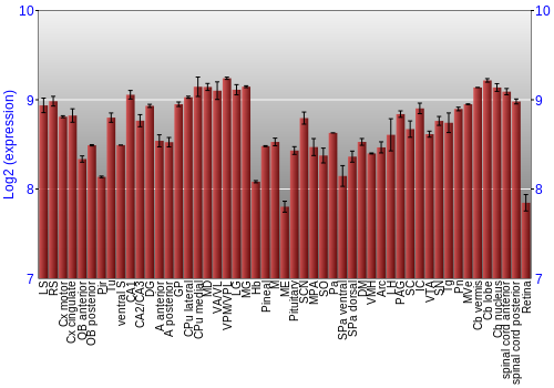 Expression graph