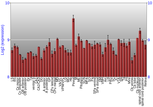 Expression graph