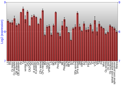 Expression graph