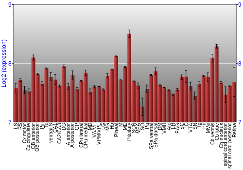 Expression graph