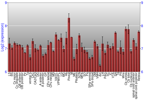 Expression graph