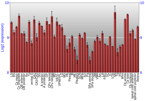 Expression graph