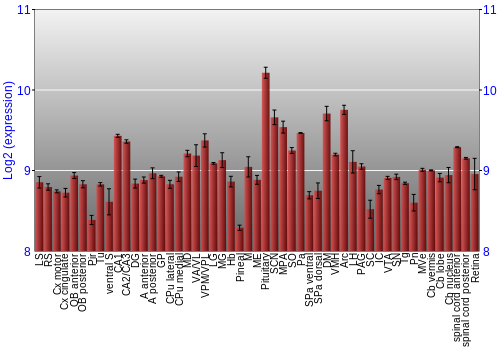 Expression graph