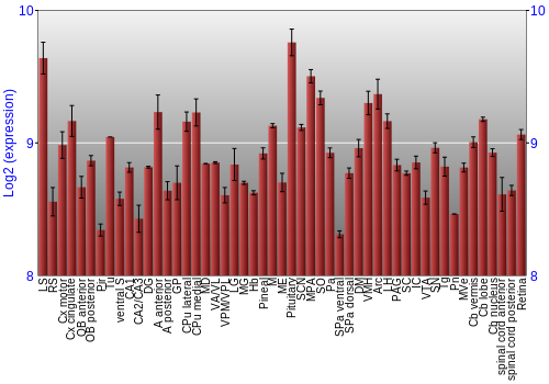 Expression graph