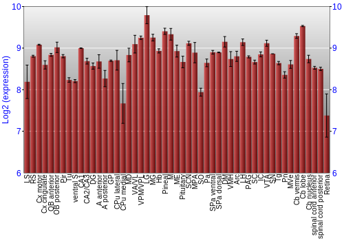 Expression graph