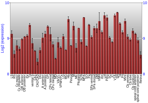 Expression graph