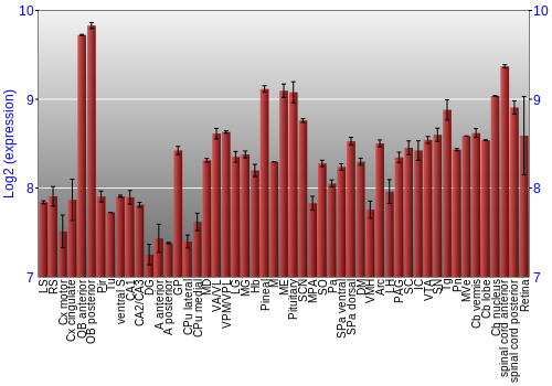 Expression graph
