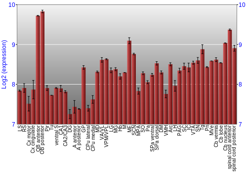 Multi-state expression graph