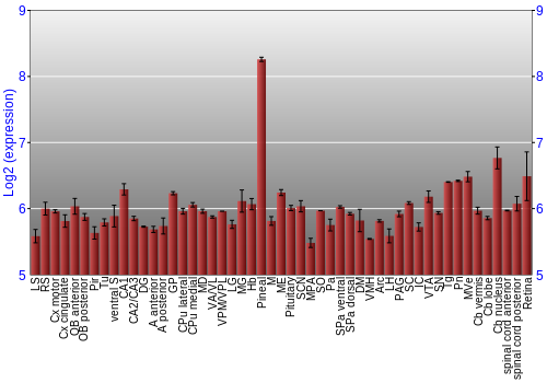 Expression graph