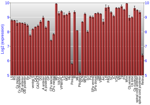 Expression graph