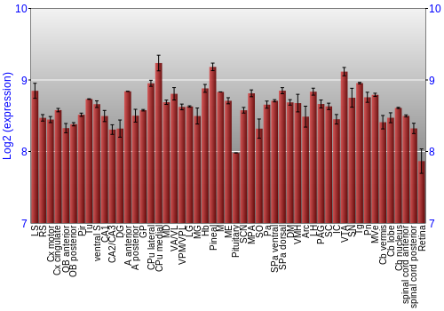 Expression graph