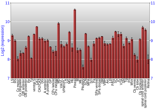 Expression graph