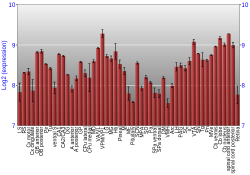 Expression graph