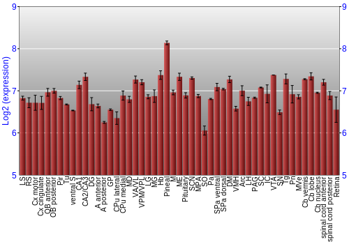 Expression graph