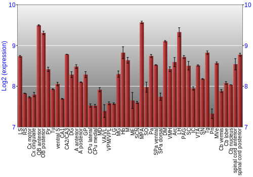 Multi-state expression graph