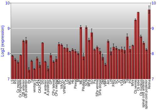 Expression graph