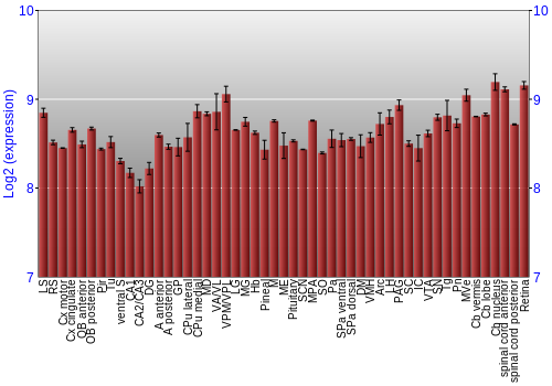 Expression graph