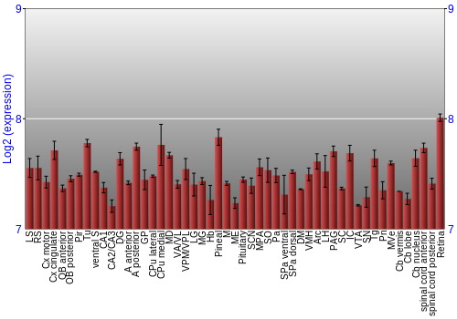 Expression graph
