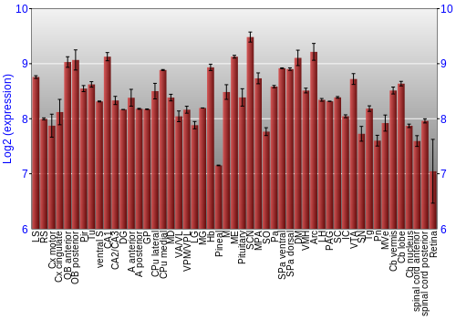 Expression graph