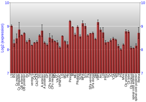 Expression graph