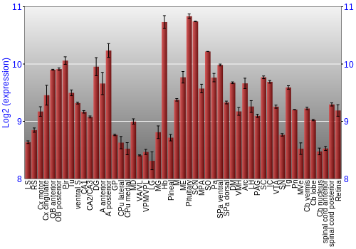 Expression graph