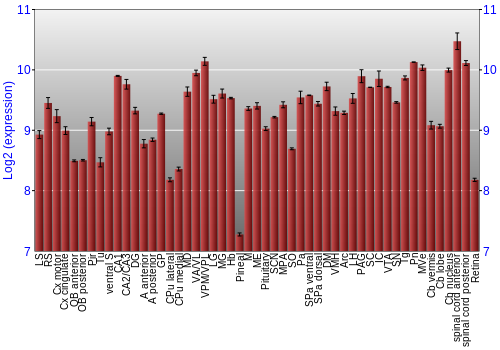 Expression graph