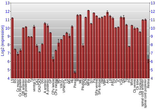 Expression graph