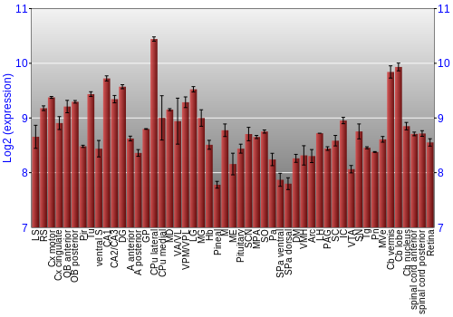 Expression graph