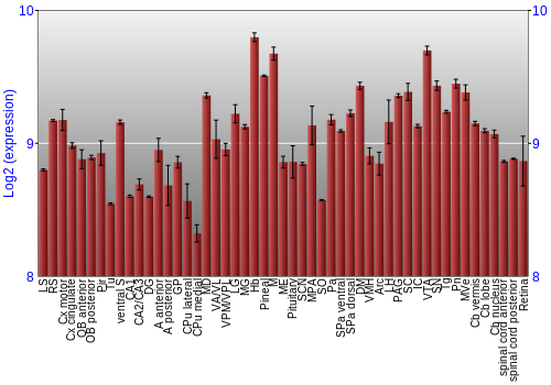 Expression graph