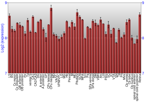 Expression graph