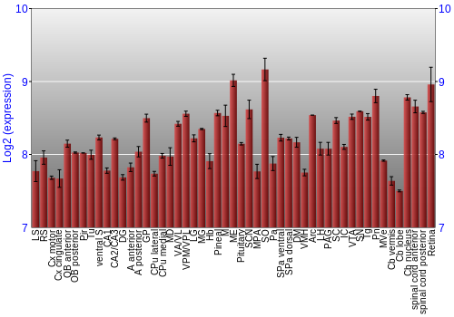 Expression graph