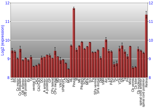 Expression graph