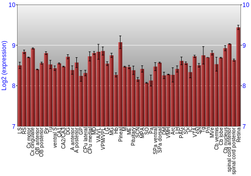 Expression graph