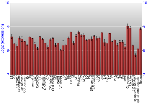 Expression graph