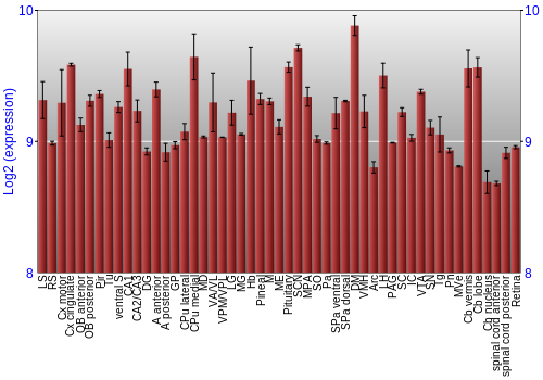 Expression graph