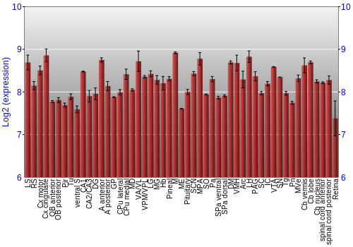 Expression graph