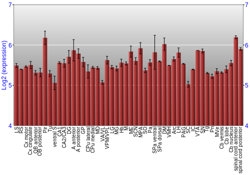 Multi-state expression graph