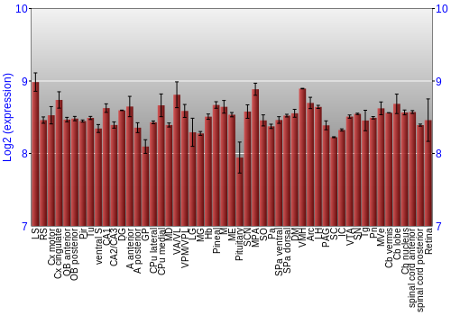 Expression graph