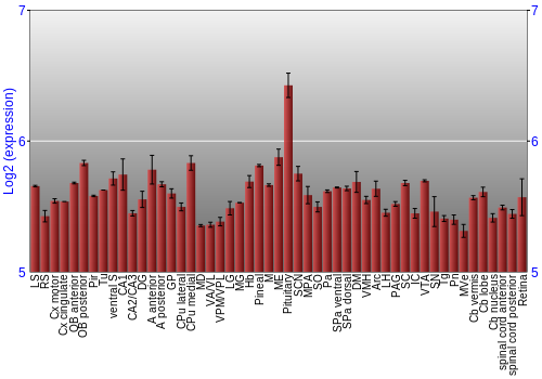 Expression graph