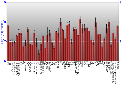Expression graph