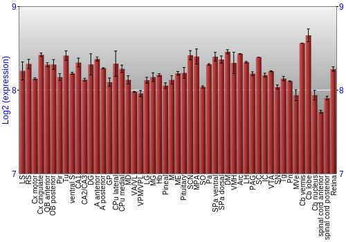 Expression graph