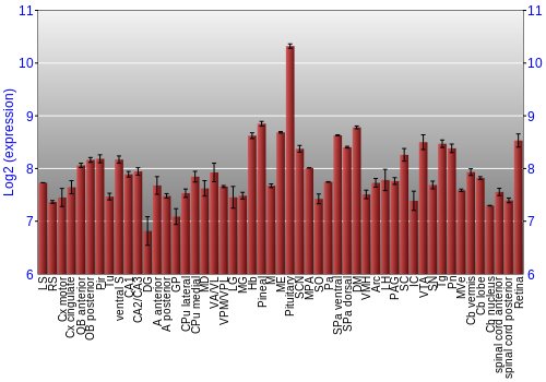 Expression graph