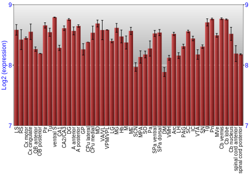 Multi-state expression graph