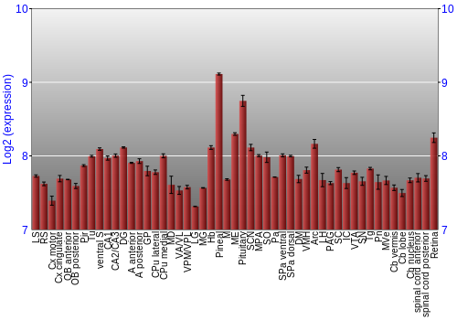 Expression graph