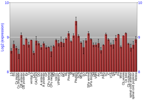 Expression graph