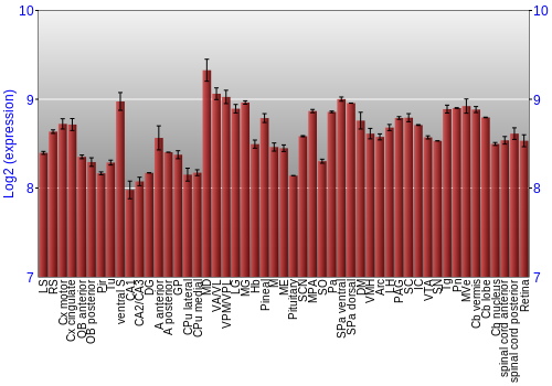 Expression graph