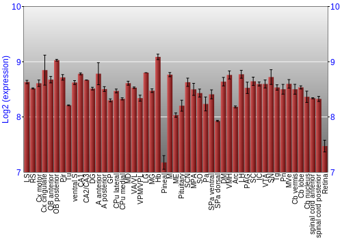 Expression graph