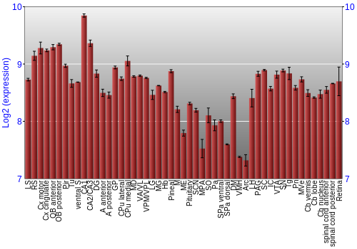 Expression graph