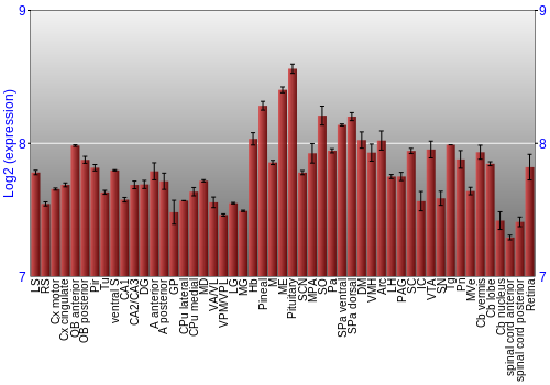 Expression graph